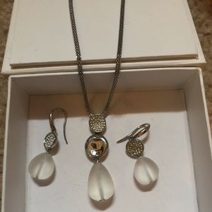 Skagen earring and necklace set